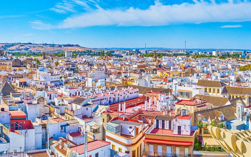 优化音频传输，提升直播体验，确保音视频同步无延迟