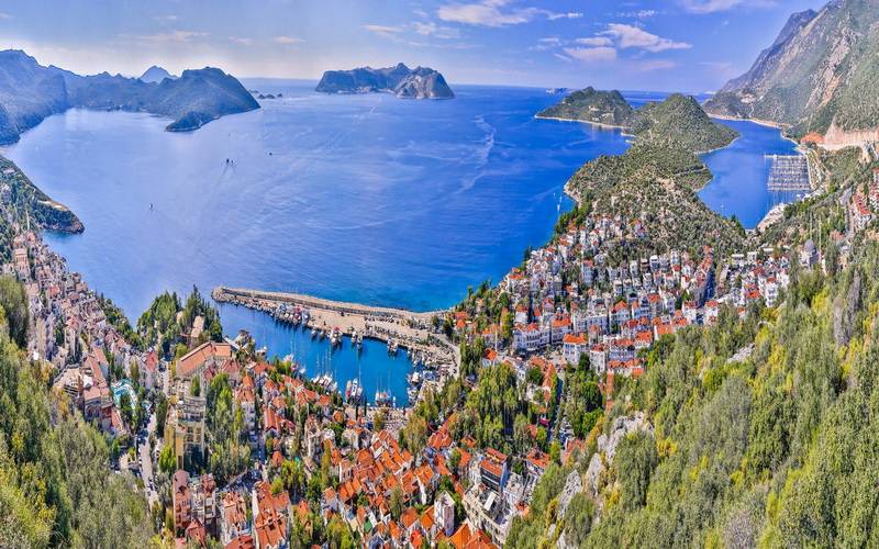 探索美国服务器在物流行业中的关键作用及应用